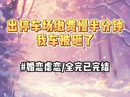 #出停车场缴费慢半分钟,我车被砸了#小说推荐#每日推文#助眠#反转#打脸#爽文#追妻火葬场#虐恋#家庭伦理