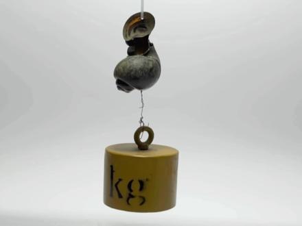 福寿螺拉力测试#脑洞大开 #福寿螺 #砝码