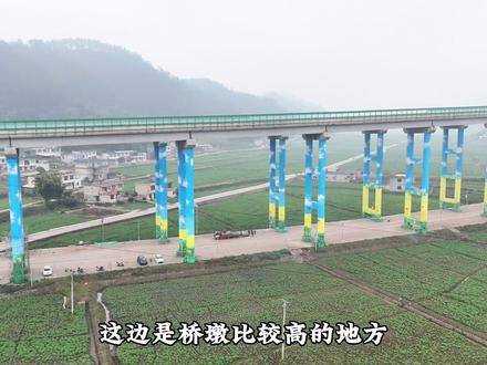 给家乡的桥墩,画上温柔的色彩,让每一次路过,都遇见风景。一笔一画,绘出家乡的诗;一桥一景,藏着生活的美。#桥墩彩绘 #油菜花开季 #庆岭油菜花 #彩绘 #高县 @DOU+小助手