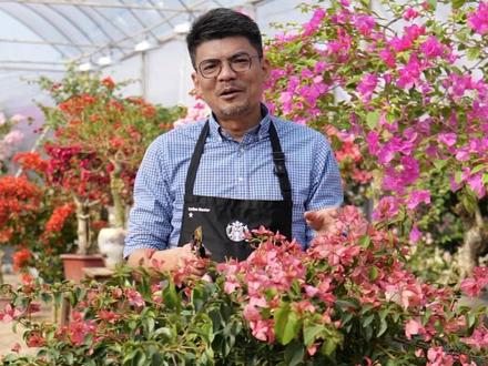 棒棒糖三角梅修剪小技巧,你值得收藏,肯定会用的上