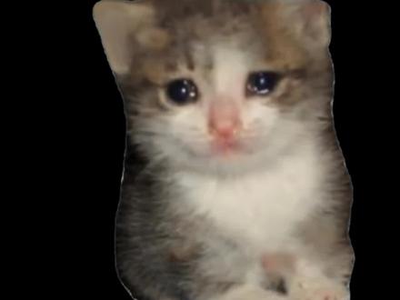 过年了,不敢带你回常州 #撒西不理哒呐方言版 #常州 #常州话 #上热搜 #方言