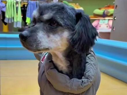 黑子翻新的补充炒饭
#黑子 #明亮之家 #喵茶 #馒头 #骏良