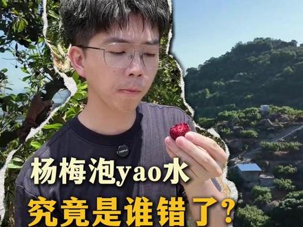 上万亩的杨梅林滞销,究竟错的是谁?#杨梅 #漳州杨梅 #浮宫杨梅 #三农