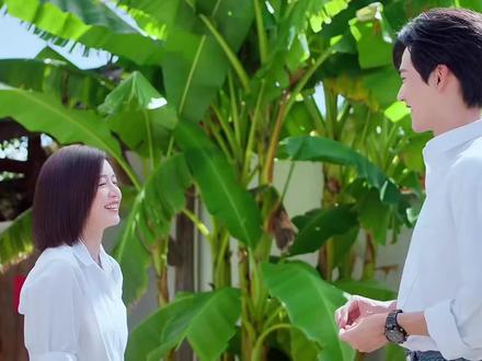 狙击蝴蝶大结局#陈妍希 #周柯宇 #狙击蝴蝶