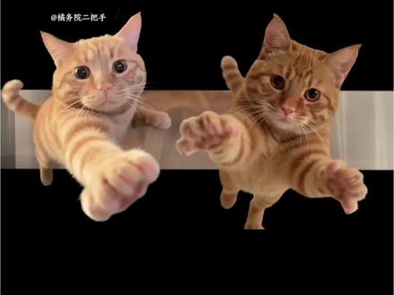 萌宠飞来咯 来咯,来了来了,最近超火的萌宠发射特技教程来了,猫咪扔出屏幕特效 狗狗冲出屏幕 萌娃发射特技 宠物发射特技 小孩扔出屏幕特效教程来了 小孩扔出屏幕特效 Ai接孩转场模版 生孩子就是拿来玩儿的
沉浸式带娃 把娃当“玩具”的快乐谁懂啊
乡村小院里的带娃乐趣,这娃被玩得明明白白
生娃不玩岂不可惜?看我把人类幼崽玩出花
ai接娃特效教程 孩子起飞特效 孩子飞起来了 生孩子就是拿来玩儿的 ai接娃特效 扔孩子起飞 ai接孩转场 ai接孩转场特效教程 孩子的搞笑瞬间 扔孩子特效教程 把小孩扔出去特效 萌娃发射特技 扔孩子冲出屏幕 扔孩子 别把孩子真扔了 人类幼崽 带娃日常 亲子互动 剪映 萌娃瞬间 猫猫飞起特效 狗狗冲出屏幕 #新春萌宠才艺大赏 #新年就玩萌宠发射特效#萌宠发射#冲出屏幕#剪映