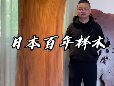 日本百年巨榉,媲美黄花梨的日本稀有ding级硬木!#日本榉木 #木材百科 #朽木传奇#大板专家