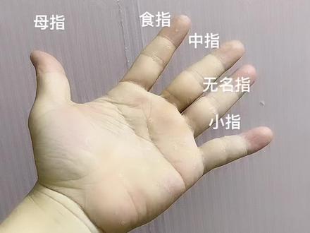 不信你们试试看@抖音小助手