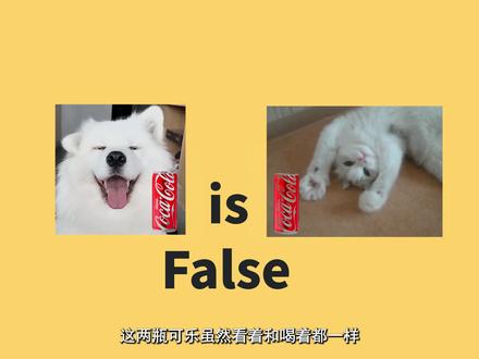 80秒分清Python中的==和is #Python #干货 #is #教程