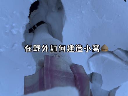 挑战流浪100天
第54天 建造小窝#野外生存 #流浪 #野生萝莉