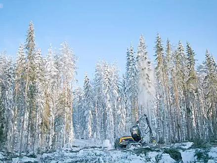 卫生纸加工厂的生产制造#卫生纸 #纪录片 #影视解说 #制作过程 #我要上热门