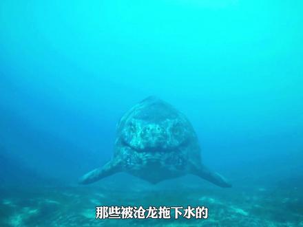 恐龙超世界,沧龙是最牛X的恐龙,海陆空通吃! #恐龙 #史前星球 #恐龙超世界 #沧龙 #霸王龙