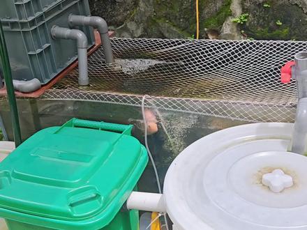 #水产养殖 #养鱼日记 #过滤系统 介绍一下过滤原理,自己娱乐一下