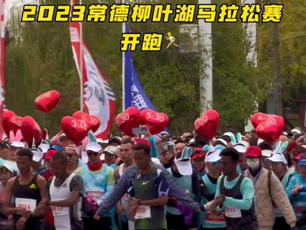 2023常德柳叶湖马拉松今天上午正式开跑#马拉松 #生命不息运动不止 #策游湖南