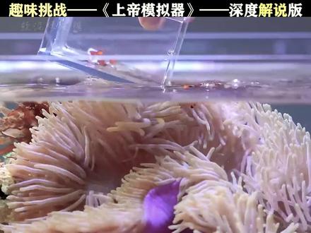 一口气看完《上帝模拟器》 #上帝模拟器 #鱼缸