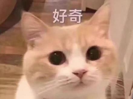 玩游戏鼠标怎么选?今天我们就来唠唠!#抖音双12好物狂欢季 #游戏外设 @抖音小助手 @抖音广告助手