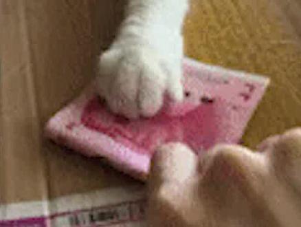 CF绝迹:礼物刷到位,啥活俺都会!?#穿越火线