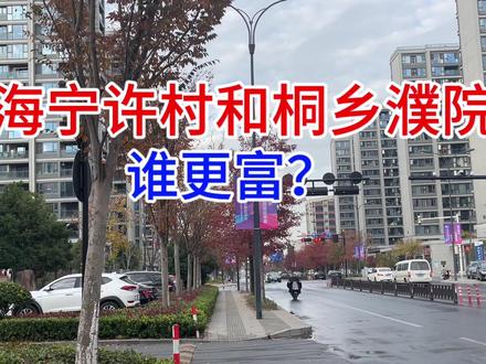 海宁许村与桐乡濮院,究竟哪个更富?真的很难对比#许村镇 #濮院镇 #嘉兴 #浙江小镇 #街景 #海宁