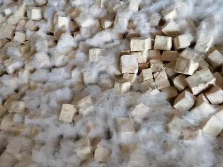 做臭豆腐蛮简单,老豆腐,打成小方块,晒干水分,上臭箱,让它自然发酵三,四天,长白毛,就可以加盐,加辣椒粉,装瓶,密封好可以长时间,存放,#传统手艺
