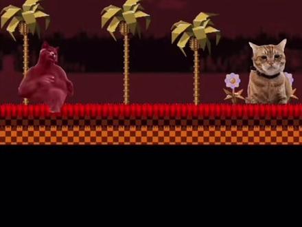 #拔罐猫 一个会扇自己巴掌的蓝猫。@野猪好友(拔罐猫原作者)