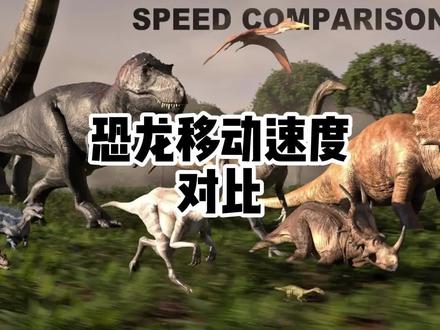 各类恐龙移速对比
#恐龙
#古生物
#侏罗纪
#白垩纪
#中生代