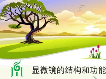 【七年级生物上】显微镜的结构和功能
