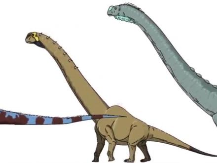 那些已经灭绝的#史前动物 到底有多大,看完这个便知