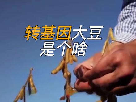 转基因大豆到底是啥#转基因 #粮食安全