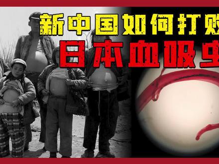 日本血吸虫有多可怕?肆虐我国2000年,曾威胁一亿人口,制造无数鬼村#青少年成长手册 #科普知识 #自然