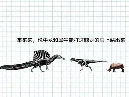这期视频是新的搞笑风格🤪🤪🤪#棘龙 #犀牛 #古生物 #大象