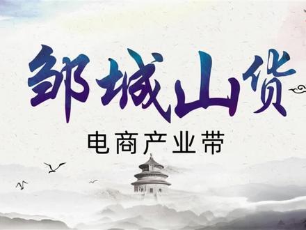邹城山货电商产业带#山东电商产业带