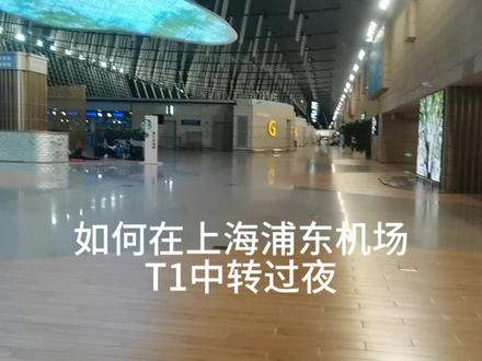 如何在上海浦东机场T1中转过夜?一定要带够衣服,半夜太冷了 #机场 #中转停留 #上海浦东国际机场 #过夜航班 #飞机