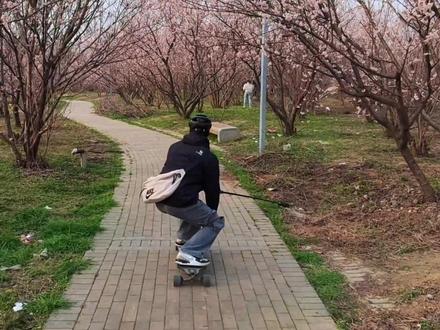 沙颍河湿地公园的樱花开了 可以去美美出片啦 #日常vlog #电动滑板 #bibuff电动滑板 #樱花 #樱花开了