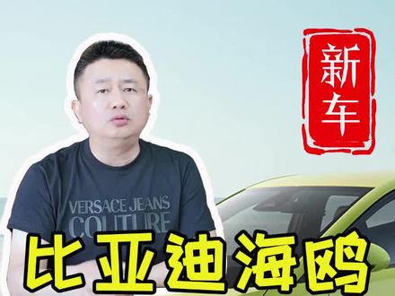 比亚迪海鸥上市。比亚迪海鸥怎么样?比亚迪海鸥值不值得买?#比亚迪 #比亚迪海鸥上市 #新车上市