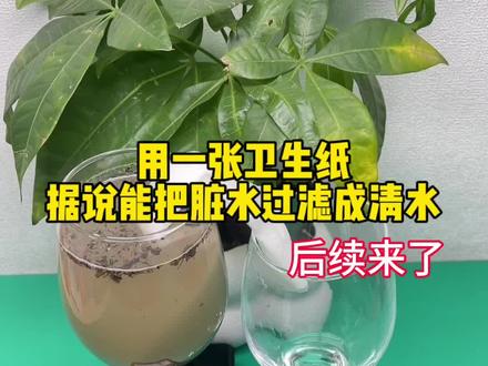 这样真的能把脏水过滤成清水?