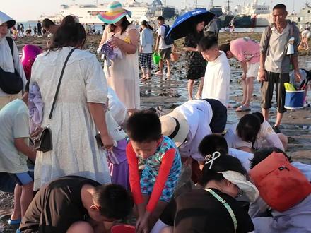 威海赶海宝藏地+攻略大盘点! #威海华发新天地#威海赶海地 #威海赶海 #威海旅游攻略 #威海旅游