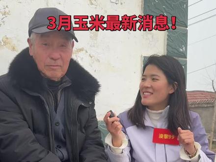 3月份华北地区最新玉米价格小杨已经拿到手了,还有玉米没卖的老乡点好关注#最新玉米价格 #最新玉米行情分析 #玉米价格走势 #小矮墩 #浚黎99