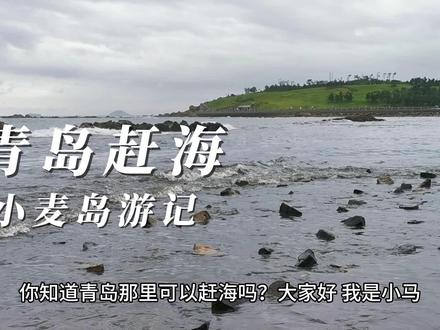 #青岛 赶海,“小麦岛”, #游记