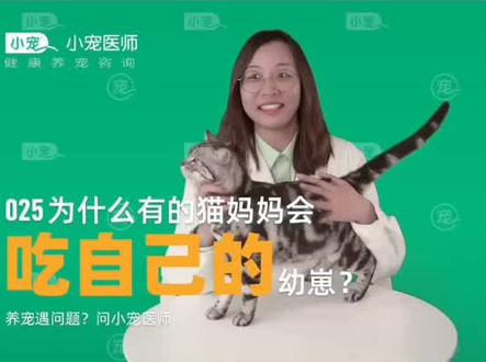 哺乳期母猫的能量需求是日常的3倍!不仅关系到母猫的产后恢复,更关系到小猫的生命安全!@抖音小助手