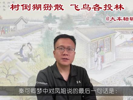 “树倒猢狲散 ,飞鸟各投林”伤哉,宁不慟杀!