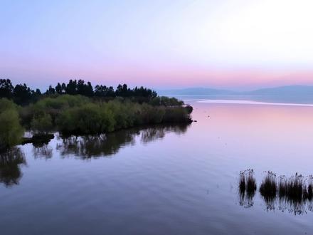 超简单的烟雾字幕入场特效制作过程#剪映视频制作