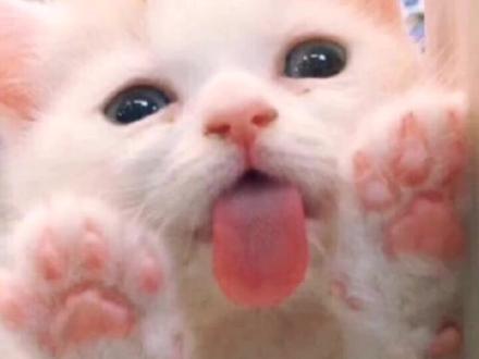 桃核发霉了,咋回事?