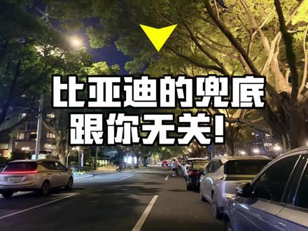 别不信,比亚迪的智驾兜底跟你们没什么关系#比亚迪 #智能驾驶 #电动车 #买车那些事 #汽车人共创计划
