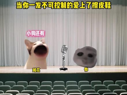 当你一发不可控制的爱上了擦皮鞋 #猫meme #音乐 #给我擦皮鞋 #抽象