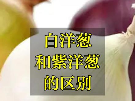 白洋葱和紫洋葱的区别#涨知识 #食品安全 #科普