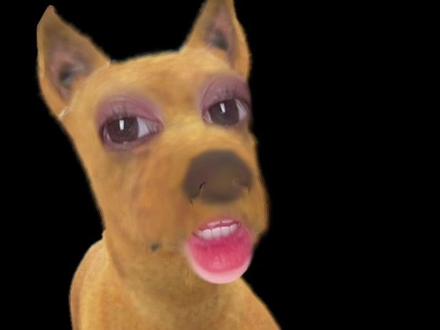 不洗白也不无脑黑 明天禁娱什么也不发#内容过于真实