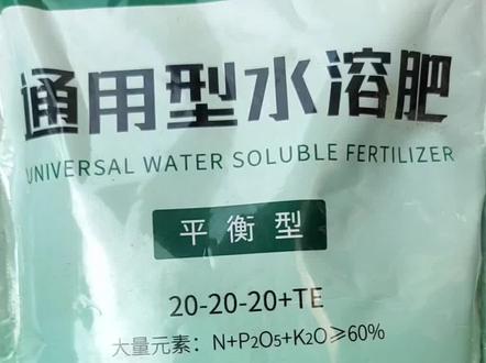 通用型水溶肥,壮根,叶片饱满。1:500兑水灌根,喷叶。切记少量生长季多次施肥。点击左下角小黄车拍同款#我的多肉花园