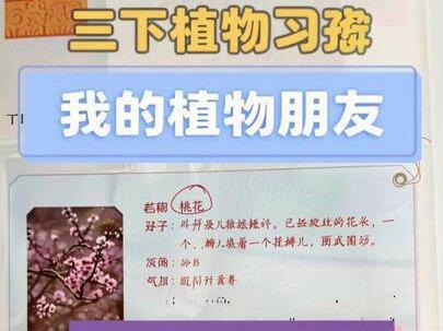 作文干巴巴?用上《荷花》里的观察方法,孩子笔下的植物立刻“活”起来!三年级下册第一单元作文《我的植物朋友》就卡住?快来预习吧!#我的植物朋友 #三年级作文 #单元作文 #写植物 #五感法