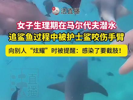 女子生理期在马尔代夫潜水,追鲨鱼过程中被护士鲨咬伤手臂, 向别人“炫耀”时被提醒:感染了要截肢!⑭#这事你怎么看 #鲨鱼 #后续