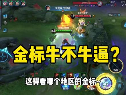 金标牛不牛逼 得看你所在的地区! #王者荣耀工作室 #王者