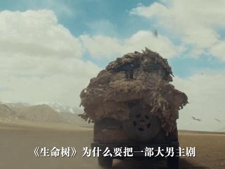 生命树是值得反复回味、真心推荐的好剧,它让我们跨越时空触摸青海大地的温度,铭记每一份不为人知的苦难与坚守。#生命树 #生命树杨紫守护高原绝境 #杨紫 #胡歌 #青年创作者成长计划